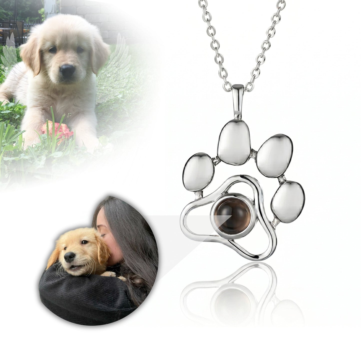Collar de recuerdo de mascota - MemoryPaw