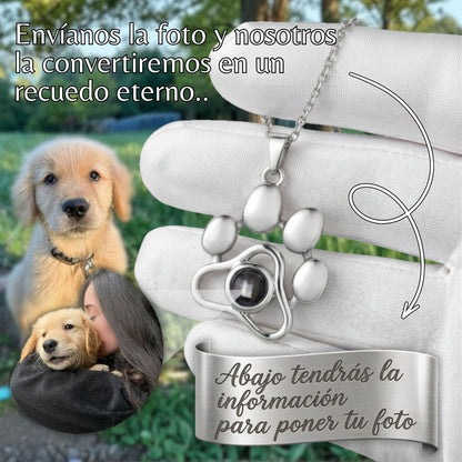 Collar Personalizado con Foto de Mascota